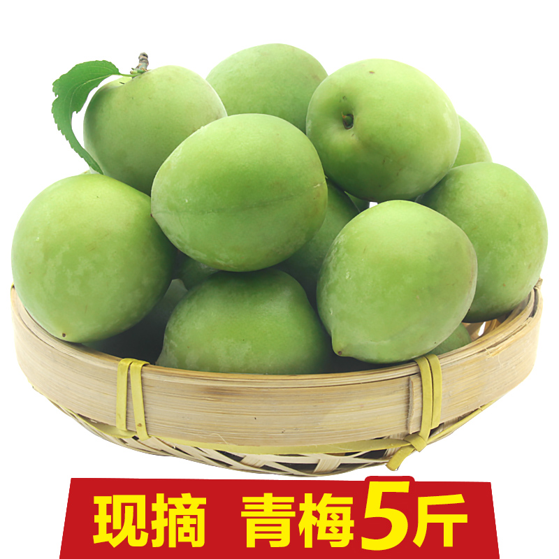 现货云南青梅果 新鲜5斤生梅子现摘当季酸水果鲜果泡酒包邮诏安|ruв категории водной мясо/свежие фрукты и овощи/еда, свежие фрукты, другие - от Buy2taobao.com для оказания профессиональной услуги покупки агента Taobao