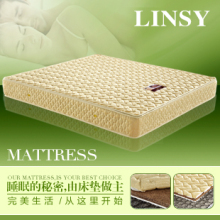 包物流林氏家具弹簧床垫 椰棕床垫 软硬两用席梦思床垫兰宝石