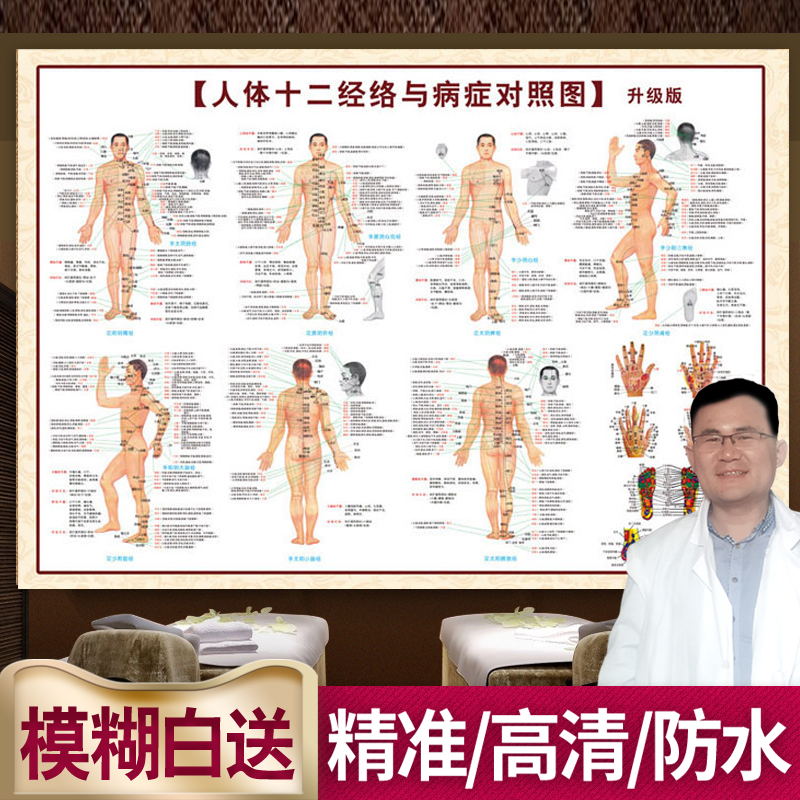 中醫人體十二經絡穴位圖大挂圖家用高清走向圖全身按摩艾灸理療在類目 個性定製/設計服務/DIY, 日用/裝飾定製, 寫真/海報印製中 - 來自Buy2taobao.com提供專業的淘寶代購服務