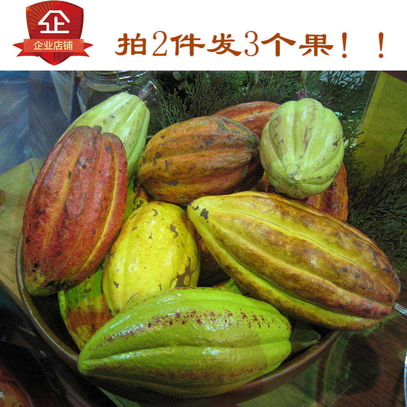 Air transport Cocoa fruit fresh fruit Hainan Tropical specialty Cocoa beans chocolate raw material decorate Cocoain the Aquatic meat/Fresh fruits and vegetables/Cooked , Fresh fruit , Other category - from Buy2taobao.com to provide professional Taobao agent buy service