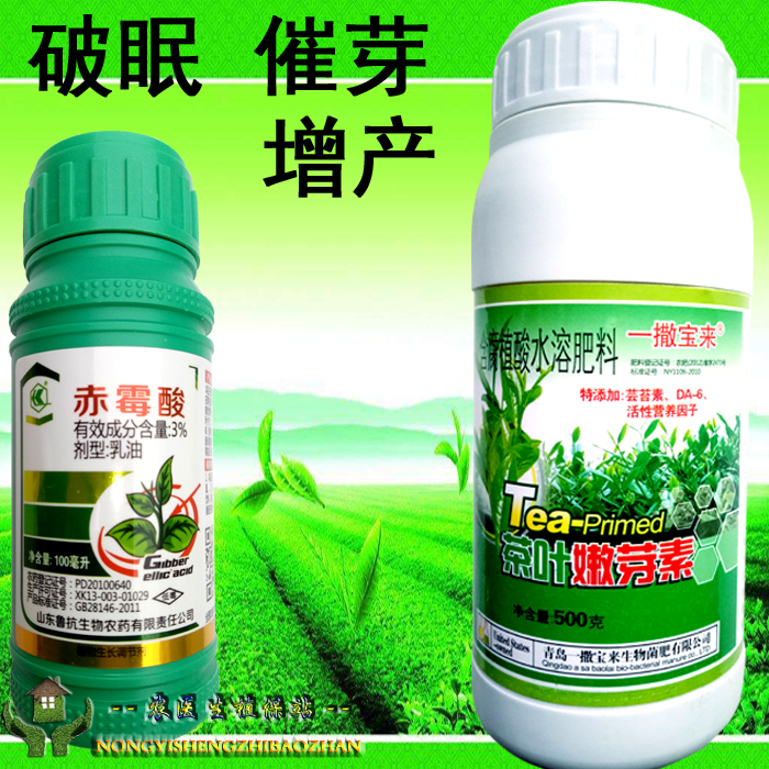茶叶嫩芽叶素含氮磷钾腐植酸微量元素叶面肥料催芽增芽剂防冻破眠|msdalam kategori penghantaran bunga/bunga simulasi/tumbuhan berkebun, Gardening Supplies, baja rumah berkebun/tanah pemakanan/penyelesaian nutrien - dari Buy2taobao.com untuk memberikan perkhidmatan ejen Taobao profesional membeli