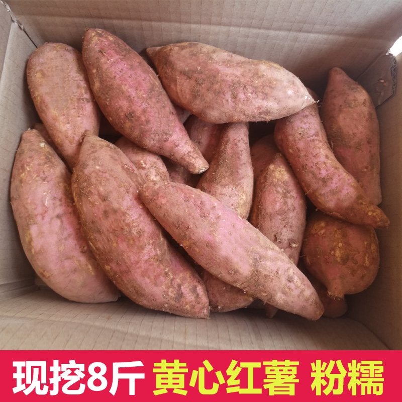 新鮮現挖廣西紅泥甜心蛋黃薯8斤新鮮裝 香甜地瓜營養好吃在類目 水產肉類/新鮮蔬果/熟食, 新鮮蔬菜/蔬菜製品, 新鮮蔬菜, 番薯中 - 來自Buy2taobao.com提供專業的淘寶代購服務
