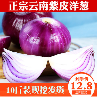 现挖10斤装新鲜云南紫皮洋葱头农家自种小洋葱蔬菜红皮圆葱包邮