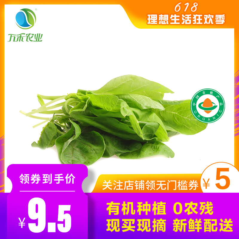 万禾农业 有机青米苋米苋苋菜鲜嫩绿叶菜火锅食材新鲜蔬菜250g|ruв категории водной мясо/свежие фрукты и овощи/еда, свежие овощи/овощной продукции, свежие овощи, другие - от Buy2taobao.com для оказания профессиональной услуги покупки агента Taobao