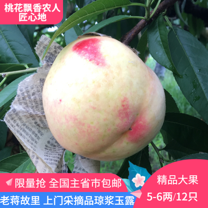 宁波奉化水蜜桃湖景玉露蜜露大桃子产地直销孕妇非阳山龙泉北京桃在类目 水产肉类/新鲜蔬果/熟食, 新鲜水果, 桃中 - 来自Buy2taobao.com提供专业的淘宝代购服务