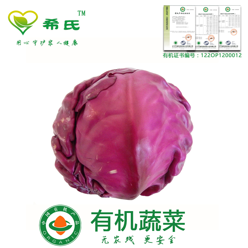 紫甘蓝500g有机蔬菜紫红椰菜紫包菜现摘新鲜西餐沙拉菜 同城配送|msdalam kategori daging perikanan/Buah-buahan segar dan sayur-sayuran/dimasak, sayur-sayuran segar/Vegetable Products, sayur-sayuran segar, lain - dari Buy2taobao.com untuk memberikan perkhidmatan ejen Taobao profesional membeli