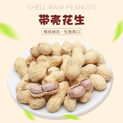 蒜香味花生500g独立小包带壳花生坚果炒货龙岩特产小吃休闲零食品