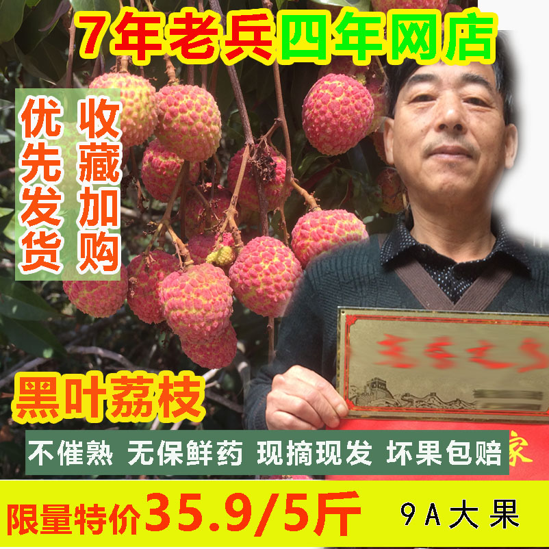现摘现发 黑叶荔枝新鲜水果5斤非海南白糖罂桂味糯米糍妃子笑荔枝在类目 水产肉类/新鲜蔬果/熟食, 新鲜水果, 荔枝中 - 来自Buy2taobao.com提供专业的淘宝代购服务
