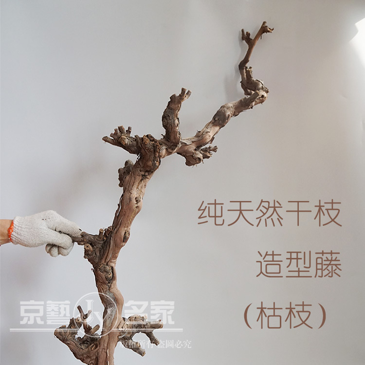 树藤枯藤山藤树枝干松针盆景用葡萄藤条装饰梅花树干迎客松枝造景|ruв категории Домашний быт, ваза/цветок/искусственные цветы/моделирование украшения, сушеные цветы/лепесток/сушеные цветы пакет/сухие ветки - от Buy2taobao.com для оказания профессиональной услуги покупки агента Taobao