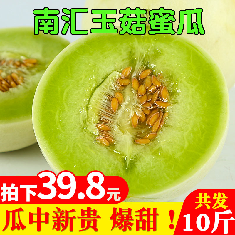 Nanhui muskmelon Melon Muskmelon 10 Cantaloupe fresh fruit Whitein the Aquatic meat/Fresh fruits and vegetables/Cooked , Fresh fruit , Cantaloupe category - from Buy2taobao.com to provide professional Taobao agent buy service