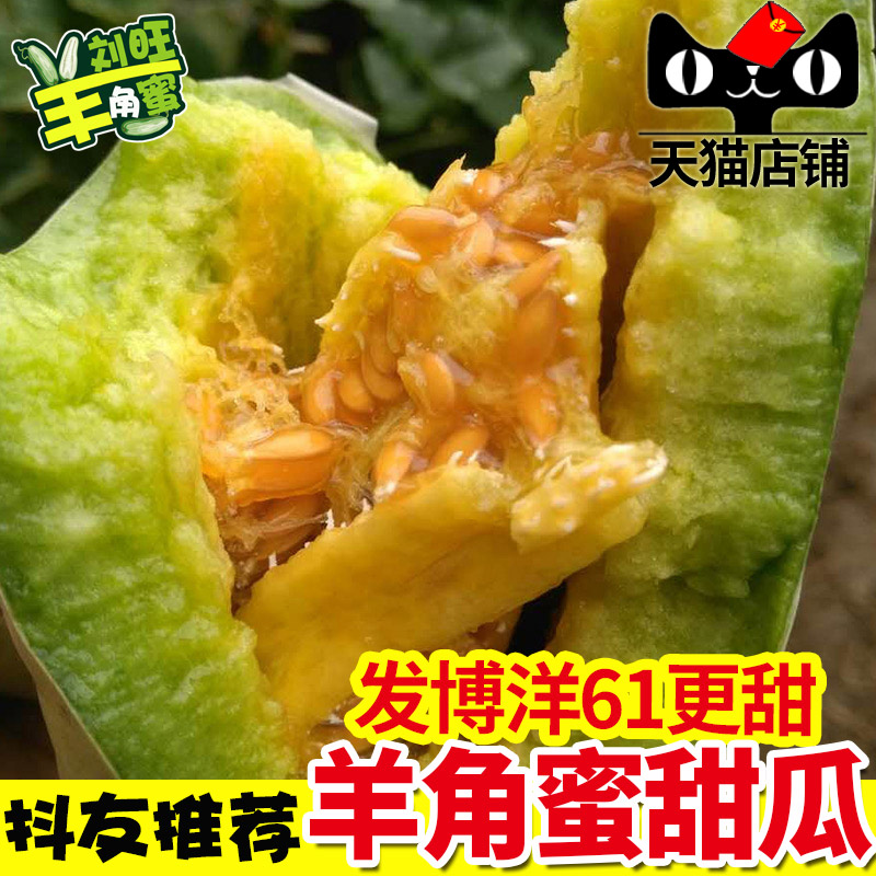 现货!羊角蜜新鲜 当季应季5斤装甜瓜脆瓜羊角脆香瓜羊角蜜甜瓜|msdalam kategori daging perikanan/Buah-buahan segar dan sayur-sayuran/dimasak, buah-buahan segar, Cantaloupe - dari Buy2taobao.com untuk memberikan perkhidmatan ejen Taobao profesional membeli