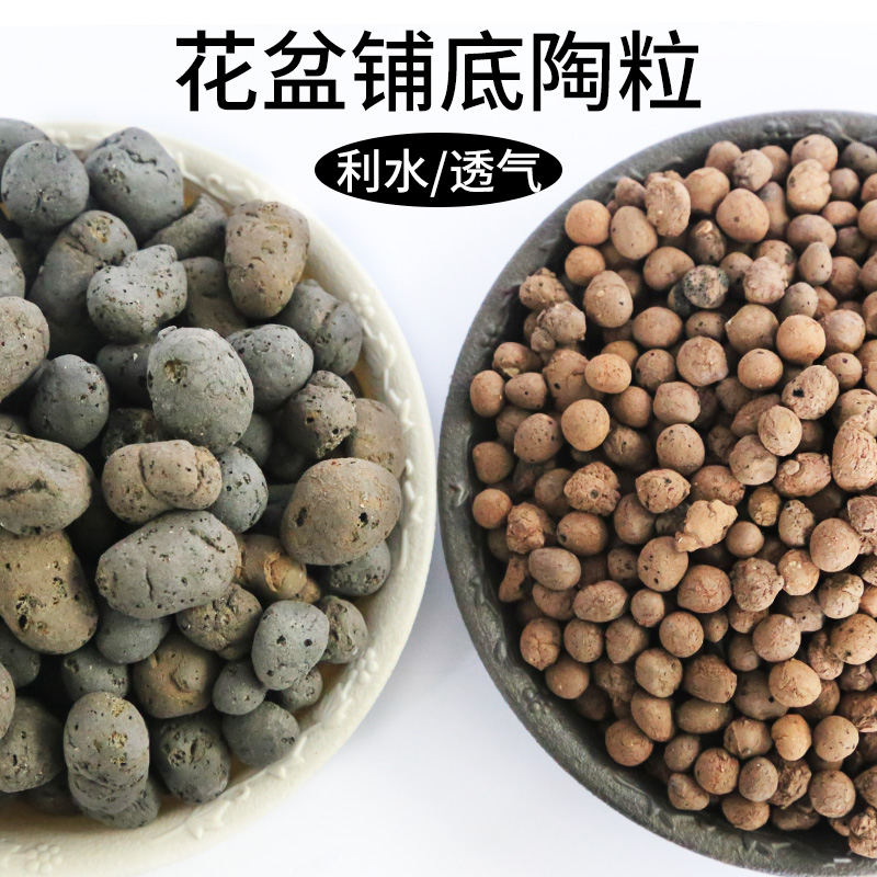 陶土粒 防烂根透气 花盆垫底大小陶粒花盆铺面卫生间建筑回填陶粒在类目 鲜花速递/花卉仿真/绿植园艺, 园艺用品, 其它园艺用品中 - 来自Buy2taobao.com提供专业的淘宝代购服务