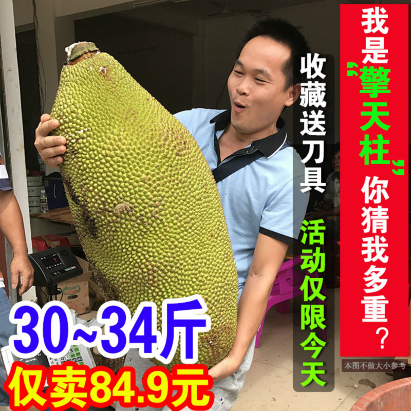 【特大果】海南老树菠萝蜜30-34斤新鲜水果木波罗非红肉红心包邮在类目 水产肉类/新鲜蔬果/熟食, 新鲜水果, 其它中 - 来自Buy2taobao.com提供专业的淘宝代购服务