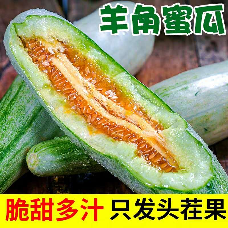 山东羊角蜜甜瓜新鲜现摘现发当季时令孕妇水果5斤包邮博洋61香瓜|ruв категории водной мясо/свежие фрукты и овощи/еда, свежие фрукты, дыня - от Buy2taobao.com для оказания профессиональной услуги покупки агента Taobao
