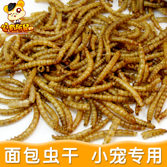 面包虫干30g 黄粉虫干 补充蛋白质 乌龟龙鱼仓鼠零食饲料在类目 宠物/宠物食品及用品, 仓鼠类及其它小宠, 饲料/零食中 - 来自Buy2taobao.com提供专业的淘宝代购服务