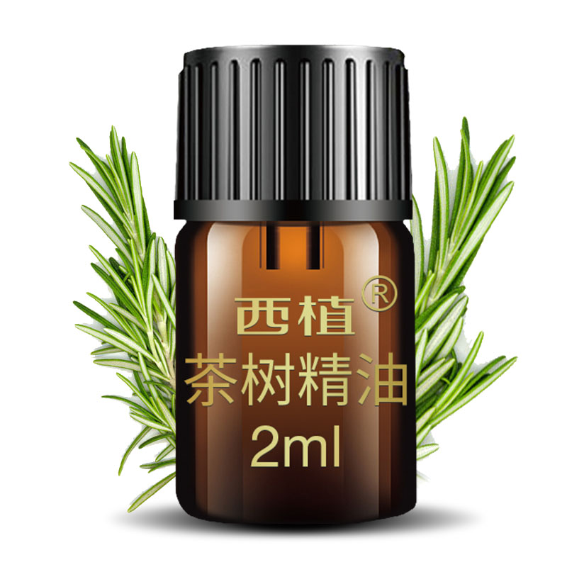 Yunnan natural Botany Kingdom Tea tree Essential oils 2ml Banna Arboretum Same item Manufactorin the Skin Care/Body/Essential oils , Aromatherapy essential oils , Essential oils category - from Buy2taobao.com to provide professional Taobao agent buy service