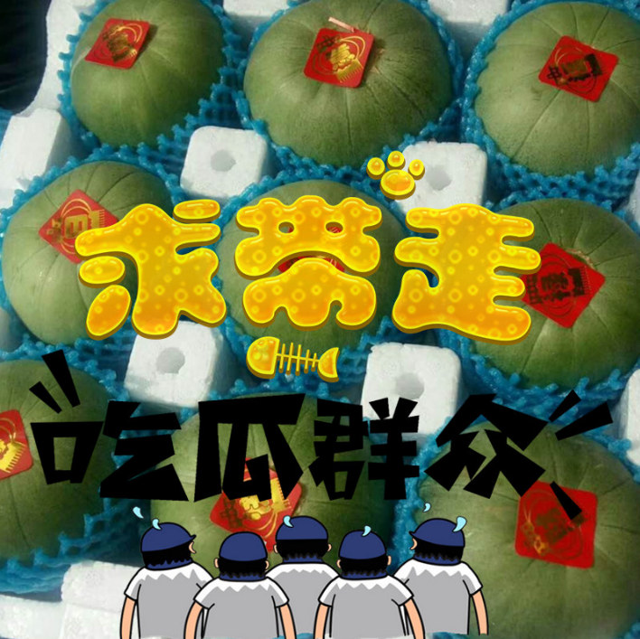 包郵新鮮水果香瓜綠寶甜瓜脆瓜應季水果5斤在類目 水產肉類/新鮮蔬果/熟食, 新鮮水果, 其它中 - 來自Buy2taobao.com提供專業的淘寶代購服務