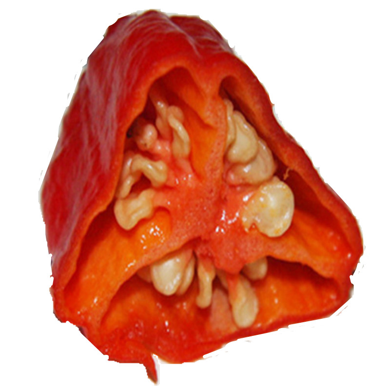 鲜万家云南德宏辣椒涮涮辣烧烤火锅食材魔鬼辣椒新鲜蔬菜500g包邮|ruв категории водной мясо/свежие фрукты и овощи/еда, свежие овощи/овощной продукции, свежие овощи, другие - от Buy2taobao.com для оказания профессиональной услуги покупки агента Taobao