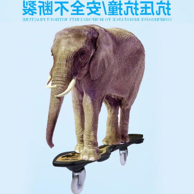 4-5-6-7-8-9-10活力板儿童两轮闪光轮摇摆滑板车 二轮滑板扭扭车在类目 运动/瑜伽/健身/球迷用品, 轮滑/滑板/极限运动, 活力板中 - 来自Buy2taobao.com提供专业的淘宝代购服务