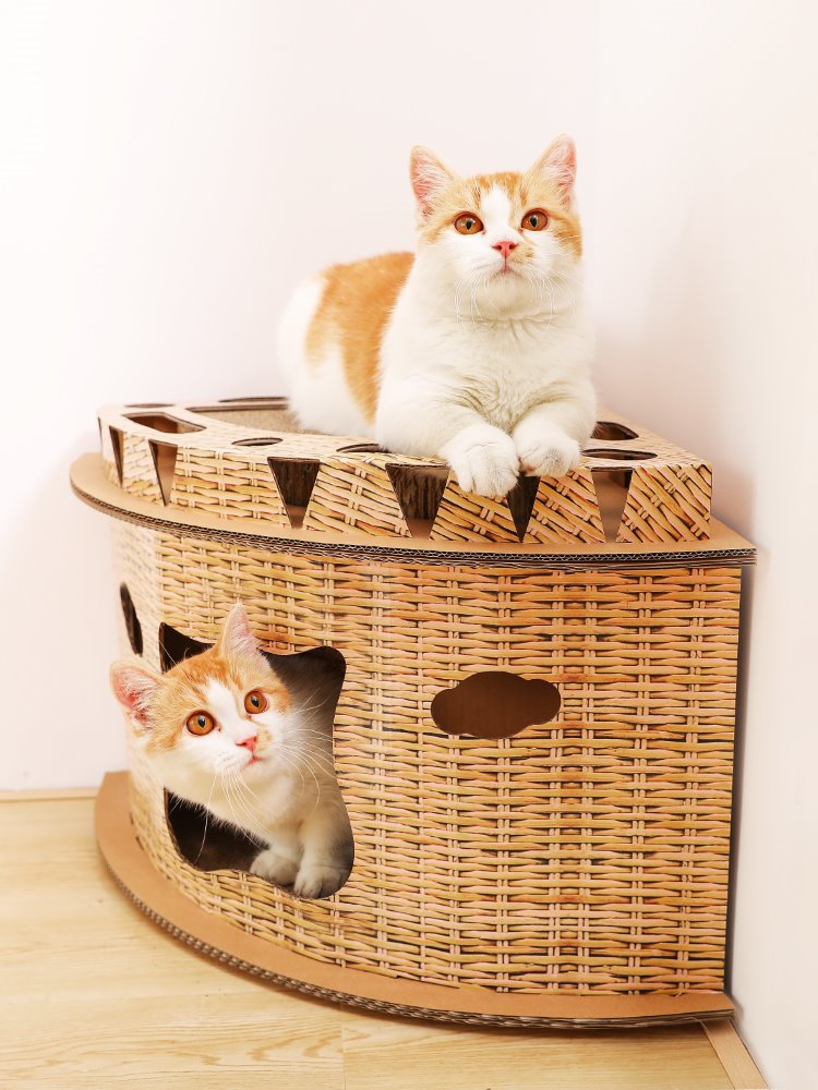 猫抓板磨爪器猫爪贴墙立式猫窝盆耐磨纸箱防猫抓沙发保护玩具用品在类目 宠物/宠物食品及用品, 猫/狗玩具, 猫抓板中 - 来自Buy2taobao.com提供专业的淘宝代购服务
