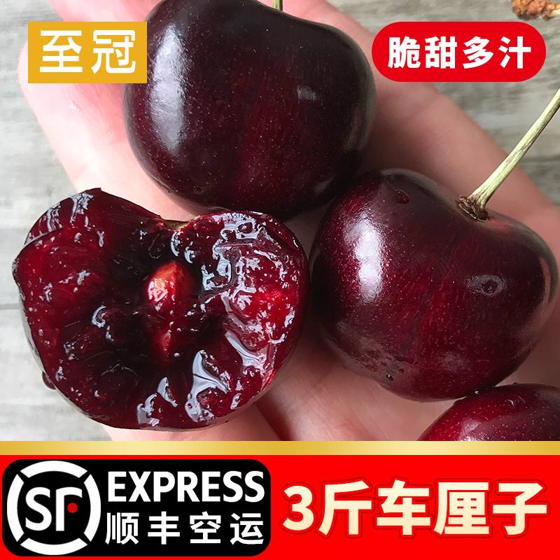 U.S.A Cherry 3 pounds JJ Large fruit 9.5R Imported Cherry Chile fresh pregnant woman fruit Shunfeng Air transportin the Aquatic meat/Fresh fruits and vegetables/Cooked , Fresh fruit , Cherries/Cherry category - from Buy2taobao.com to provide professional Taobao agent buy service