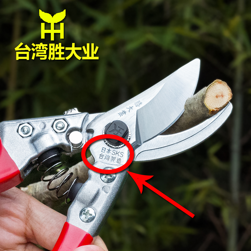 台湾进口修枝剪园林剪刀粗枝剪果树剪枝剪刀园艺剪修剪树枝剪刀|ruв категории доставка цветов/цветок моделирования/растения садоводства, садовых принадлежностей, садоводство/нож/сдвиг/пила (новый), ножницы - от Buy2taobao.com для оказания профессиональной услуги покупки агента Taobao