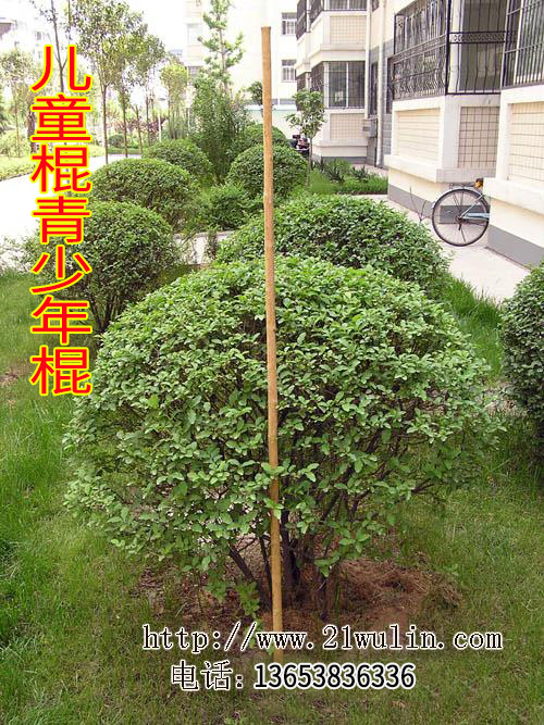 Martial arts club Half past six stick Club Stick Qimei Gun Children martial arts stick long 170 Cm abovein the Sports/Yoga/Fitness/Fans supplies , Taekwondo/Wushu/Fight , More martial arts equipment category - from Buy2taobao.com to provide professional Taobao agent buy service