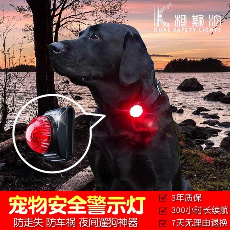 发光夜间夜光防狗狗走失灯防丢神器宠物项圈用品吊坠led遛狗铃铛在类目 宠物/宠物食品及用品, 宠物服饰及配件, 挂饰/挂牌中 - 来自Buy2taobao.com提供专业的淘宝代购服务