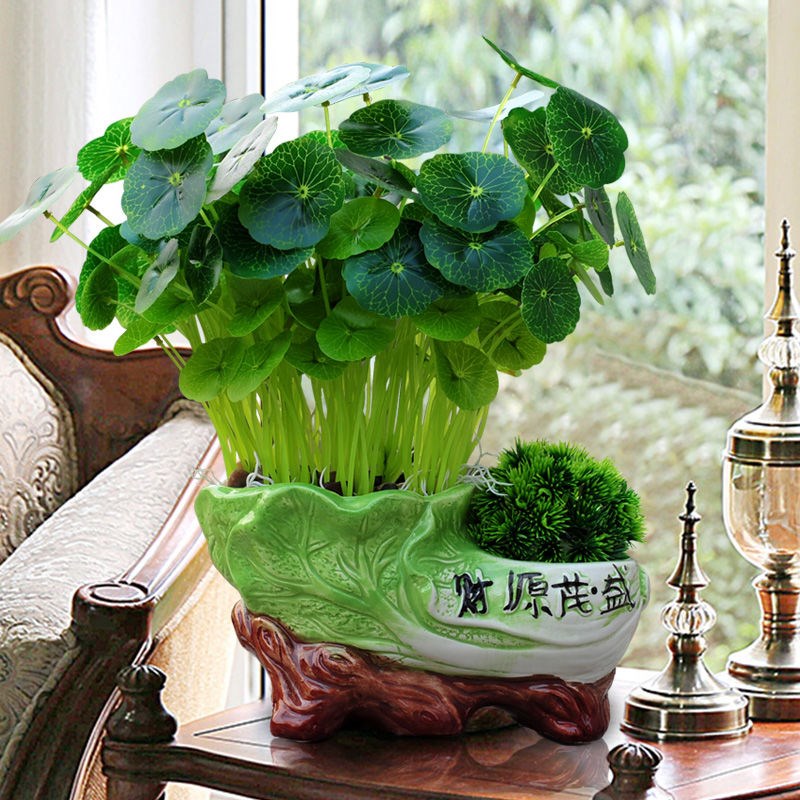 ?假花仿擺設花假花裝飾客廳真花客廳臥室家用餐桌幹花花束塑料假在類目 鮮花速遞/花卉仿真/綠植園藝, 仿真花/綠植/蔬果成品(新), 仿真花中 - 來自Buy2taobao.com提供專業的淘寶代購服務