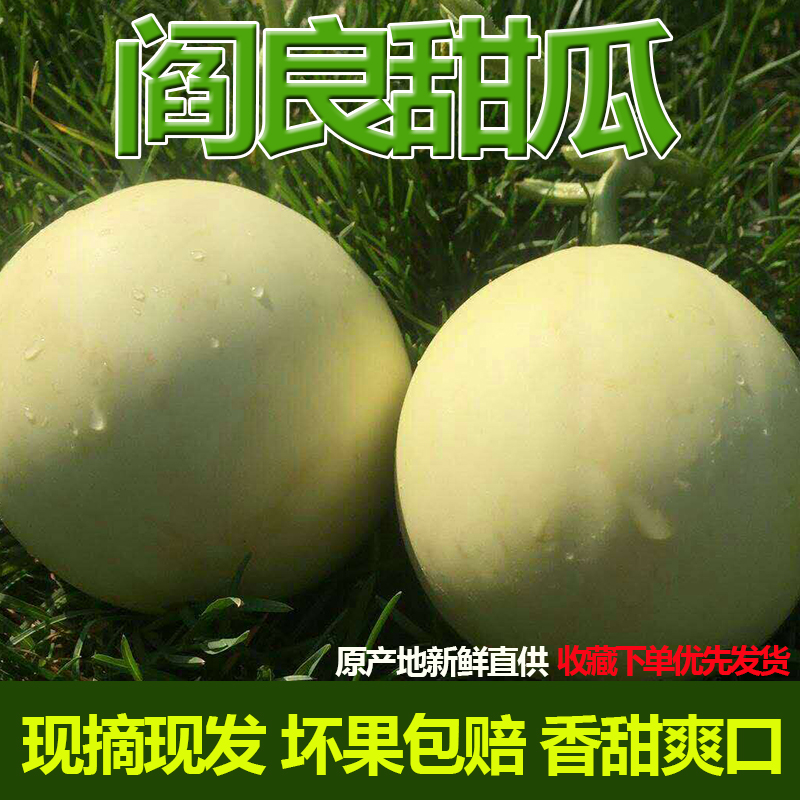 雪梨五甜瓜六7香瓜5月6月當應現季水果新鮮壹箱直批10整箱包郵5斤在類目 水產肉類/新鮮蔬果/熟食, 新鮮水果, 甜瓜中 - 來自Buy2taobao.com提供專業的淘寶代購服務