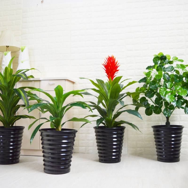 大型仿真植物鴻運當頭海棠橡皮樹落地綠植盆景客廳室內裝飾假盆栽在類目 鮮花速遞/花卉仿真/綠植園藝, 仿真花/綠植/蔬果成品(新), 仿真綠植中 - 來自Buy2taobao.com提供專業的淘寶代購服務