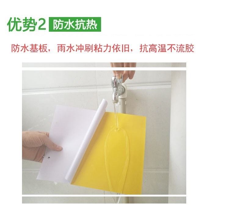 yellow Powder Two-sided Trap Small flying insects Stick Mosquito Pasteboard Pestsin the Flower delivery/Flowers simulation/Plants gardening , Gardening supplies , Other Garden Supplies category - from Buy2taobao.com to provide professional Taobao agent buy service
