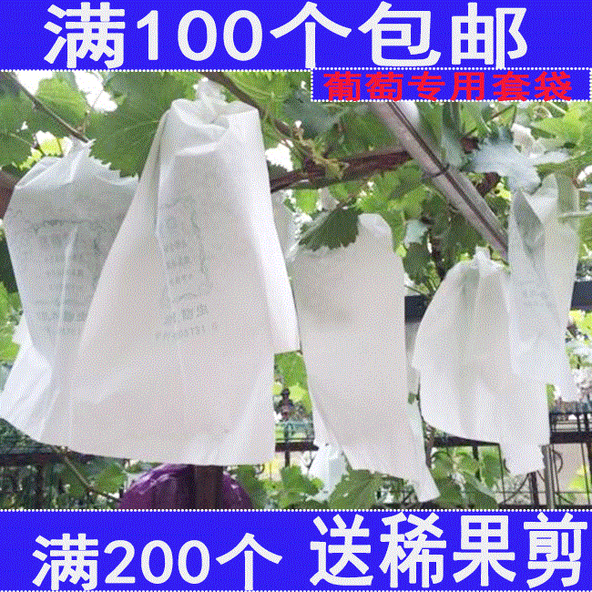 上好佳葡萄套袋 葡萄袋葡萄果袋包邮 葡萄育果袋 防鸟|msdalam kategori penghantaran bunga/bunga simulasi/tumbuhan berkebun, Gardening Supplies, Peralatan Perkebunan lain - dari Buy2taobao.com untuk memberikan perkhidmatan ejen Taobao profesional membeli