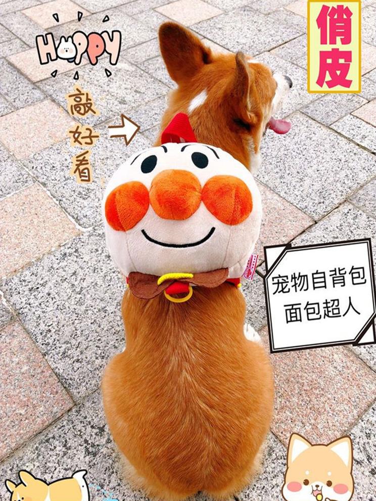 搞怪小型犬外出狗狗书包自背猫套装贵宾小犬夏季用旅行包饰品幼犬在类目 宠物/宠物食品及用品, 宠物服饰及配件, 宠物背包中 - 来自Buy2taobao.com提供专业的淘宝代购服务