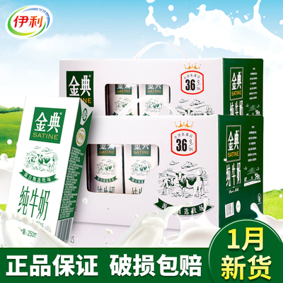 伊利金典纯牛奶250ml*12盒*2箱学生老人成人儿童早餐牛奶整箱批发