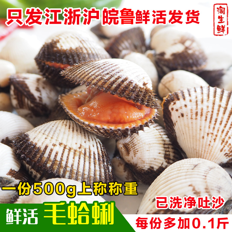连云港野生毛蛤鲜活海贝类血蛤海鲜蛤蜊生鲜水产血蚶毛蚶500克在类目 水产肉类/新鲜蔬果/熟食, 海鲜/水产品/制品, 贝类, 贝类制品中 - 来自Buy2taobao.com提供专业的淘宝代购服务