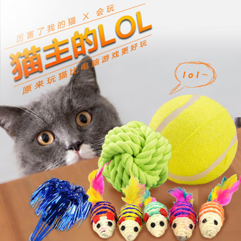 猫咪用品逗猫玩具不倒翁老鼠逗猫棒棉绳球猫薄荷毛绒玩具宠物用品在类目 宠物/宠物食品及用品, 猫/狗玩具, 逗猫棒中 - 来自Buy2taobao.com提供专业的淘宝代购服务
