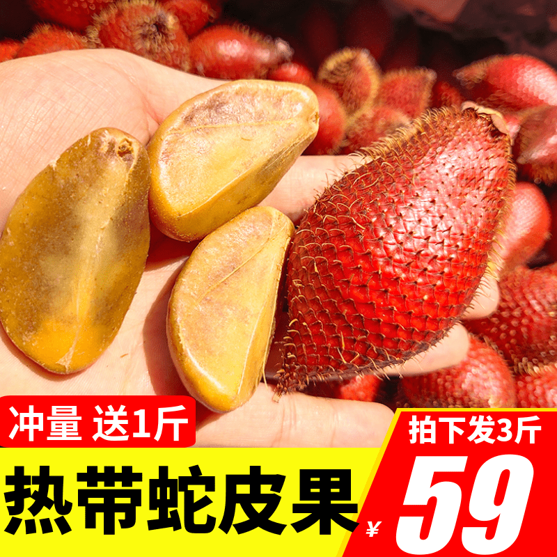 Early adopters Snake fruit fresh Big fruit 3 Yunnan Tropical Season fruit specialty pregnant woman Indonesia Thailandin the Aquatic meat/Fresh fruits and vegetables/Cooked , Fresh fruit , Other category - from Buy2taobao.com to provide professional Taobao agent buy service