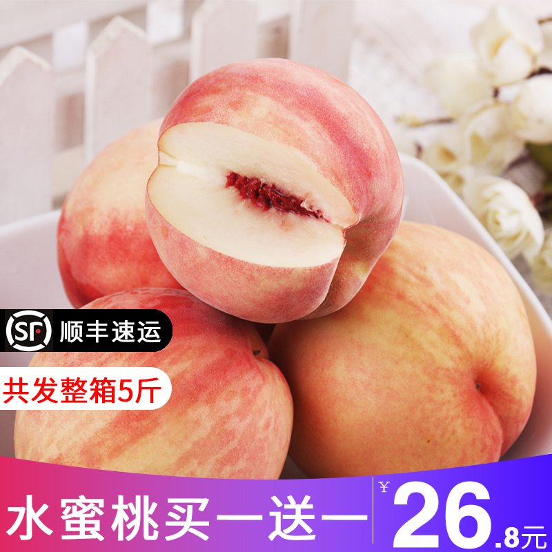 桃子新鲜5斤顺丰包邮当季现摘孕妇水果生吃脆甜水蜜桃软毛桃雪桃在类目 水产肉类/新鲜蔬果/熟食, 新鲜水果, 桃中 - 来自Buy2taobao.com提供专业的淘宝代购服务
