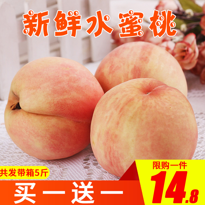 honey peach fresh Fruit 5 Season Peach Wild peach Full container wholesale Nectarine Yellow peachin the Aquatic meat/Fresh fruits and vegetables/Cooked , Fresh fruit , Peach category - from Buy2taobao.com to provide professional Taobao agent buy service