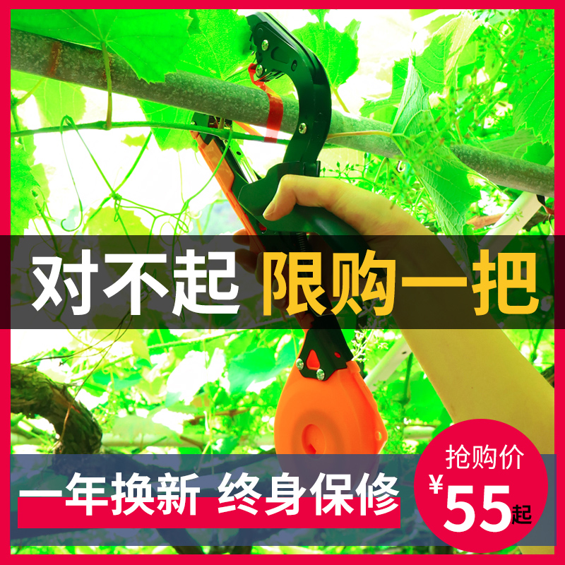 葡萄綁枝機西紅柿捆綁機釘子膠帶刀片綁蔓器綁黃瓜神器番茄綁藤機在類目 鮮花速遞/花卉仿真/綠植園藝, 園藝用品, 其它園藝用品中 - 來自Buy2taobao.com提供專業的淘寶代購服務