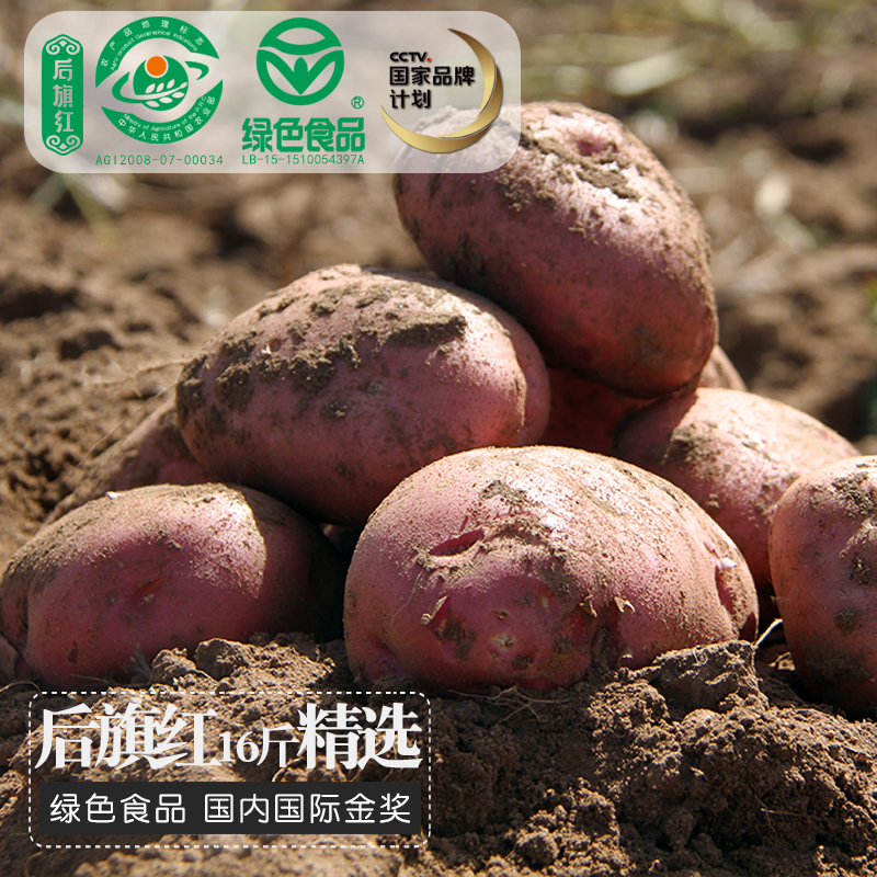 【16斤礼盒】现挖新鲜 后旗红土豆内蒙古薯都红皮马铃薯农家自产|msdalam kategori daging perikanan/Buah-buahan segar dan sayur-sayuran/dimasak, sayur-sayuran segar/Vegetable Products, sayur-sayuran segar, Potato - dari Buy2taobao.com untuk memberikan perkhidmatan ejen Taobao profesional membeli