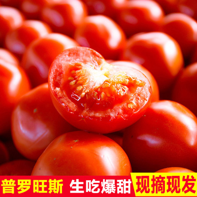 现摘普罗旺斯番茄西红柿水果新鲜蔬菜农家10斤沙瓤自然熟孕妇酸甜