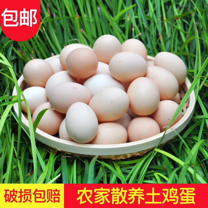 正宗農村土雞蛋農家散養純 新鮮 雜糧草雞蛋柴雞蛋笨雞蛋野外30枚在類目 水產肉類/新鮮蔬果/熟食, 蛋/蛋製品, 鮮活蛋類, 雞蛋中 - 來自Buy2taobao.com提供專業的淘寶代購服務