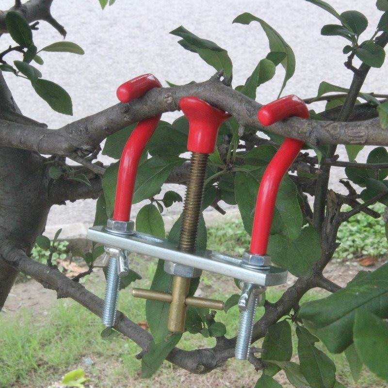 省力园艺拉弯定型整形器调节工具取弯器操作伸缩树干用走向调枝微|msdalam kategori penghantaran bunga/bunga simulasi/tumbuhan berkebun, Gardening Supplies, Peralatan Perkebunan lain - dari Buy2taobao.com untuk memberikan perkhidmatan ejen Taobao profesional membeli