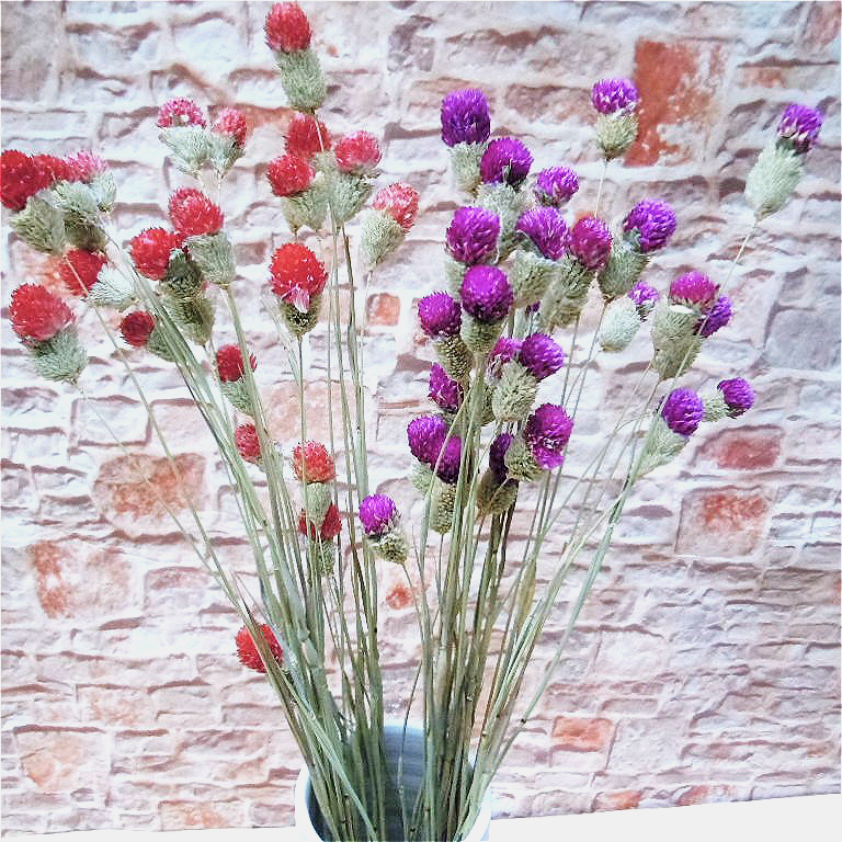 千日红千日紫 天然植物干花花束手工仿真花客厅餐桌摆放百搭装饰在类目 家居饰品, 花瓶/花器/仿真花/仿真饰品, 干花/花瓣/干花包/干树枝中 - 来自Buy2taobao.com提供专业的淘宝代购服务
