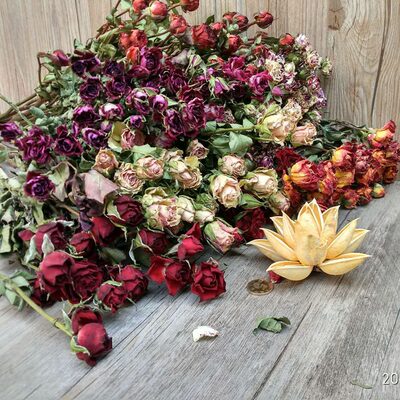 蔷薇花风干玫瑰浪漫泡泡云南干花花束装饰小清新玫瑰文艺家居摆件