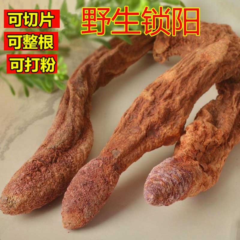 Cynomorium Super wild Jin Suoyang 500g Tonic Paojiu material Cynomorium Can be equipped with Cistanche deserticola Epimediumin the Traditional nourishing food , Medicinal and Edible Food , Other Medicinal and Edible Food category - from Buy2taobao.com to provide professional Taobao agent buy service