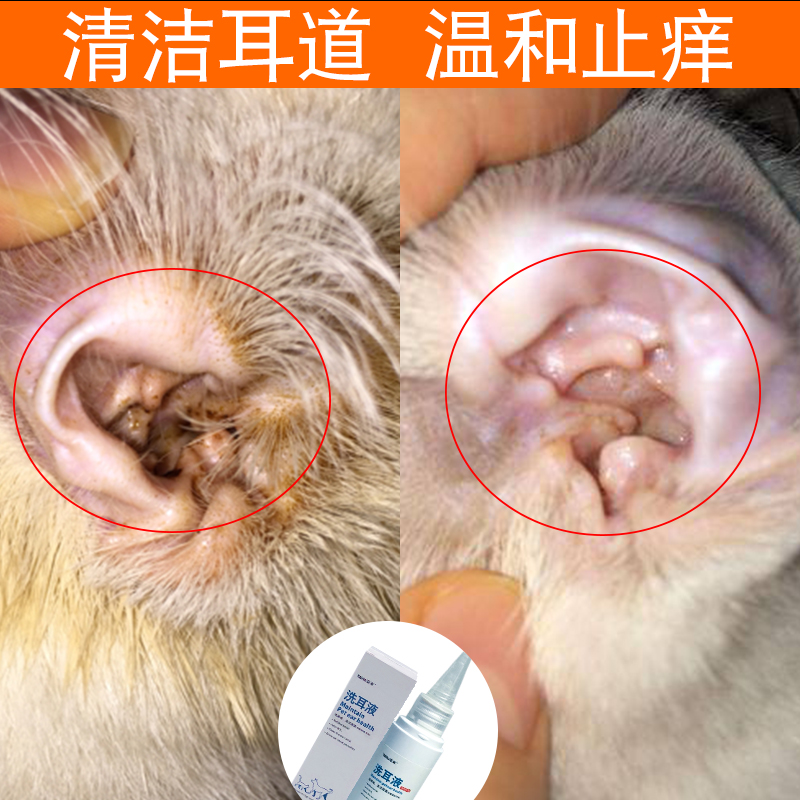 宠物狗狗滴耳油除耳螨滴耳液宠物洗耳液猫咪耳朵清洁液宠物用品|msdalam kategori haiwan peliharaan/makanan haiwan dan bekalan, Cat/Anjing dandanan pembersihan bekalan, Cleaning telinga - dari Buy2taobao.com untuk memberikan perkhidmatan ejen Taobao profesional membeli