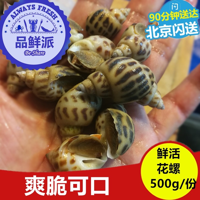 500g/ goods in stock Fresh Seafood Shellfish Conch Babylonia Big Snails living thing South wind Beijingin the Aquatic meat/Fresh fruits and vegetables/Cooked , Seafood/Aquatic/Product , Shellfish , Shellfish Products category - from Buy2taobao.com to provide professional Taobao agent buy service